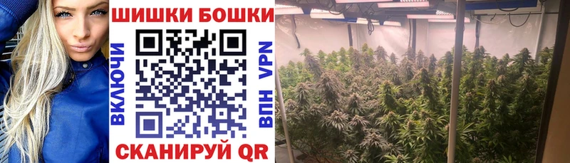 ГАШИШ Сычёвка