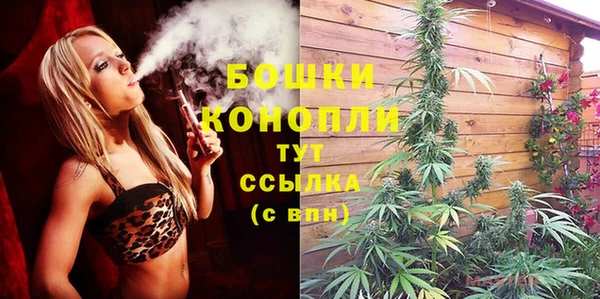 гидропоника Новозыбков