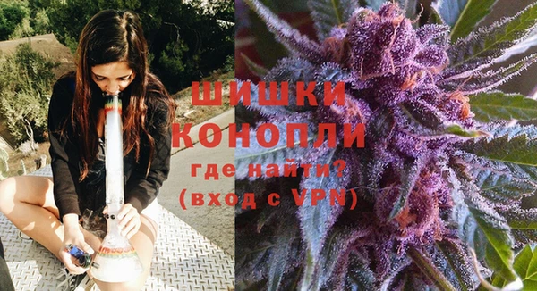 гидропоника Новозыбков
