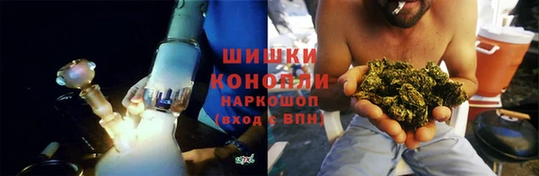 гидропоника Новозыбков