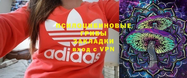 мяу мяу мука Новодвинск