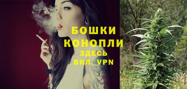 мяу мяу мука Новодвинск