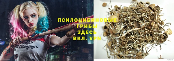 мяу мяу мука Новодвинск