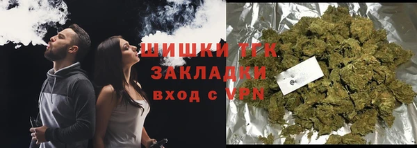 гидропоника Новозыбков