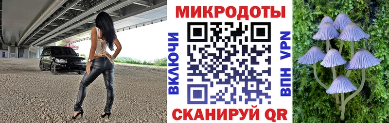 Псилоцибиновые грибы Psilocybine cubensis  цены   Сычёвка 